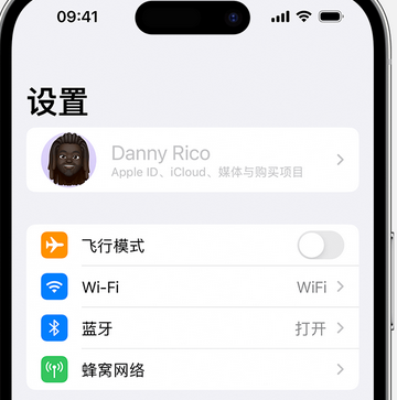 代县appleID维修服务iPhone设置中Apple ID显示为灰色无法使用 