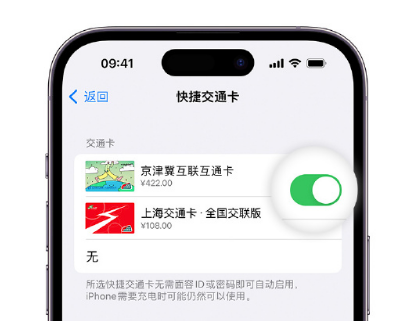 代县apple维修点分享iPhone上更换Apple Pay快捷交通卡手绘卡面 