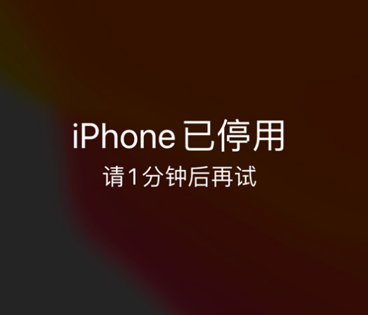 代县苹果手机维修分享:iPhone 显示“不可用”或“已停用”怎么办？还能保留数据吗？ 