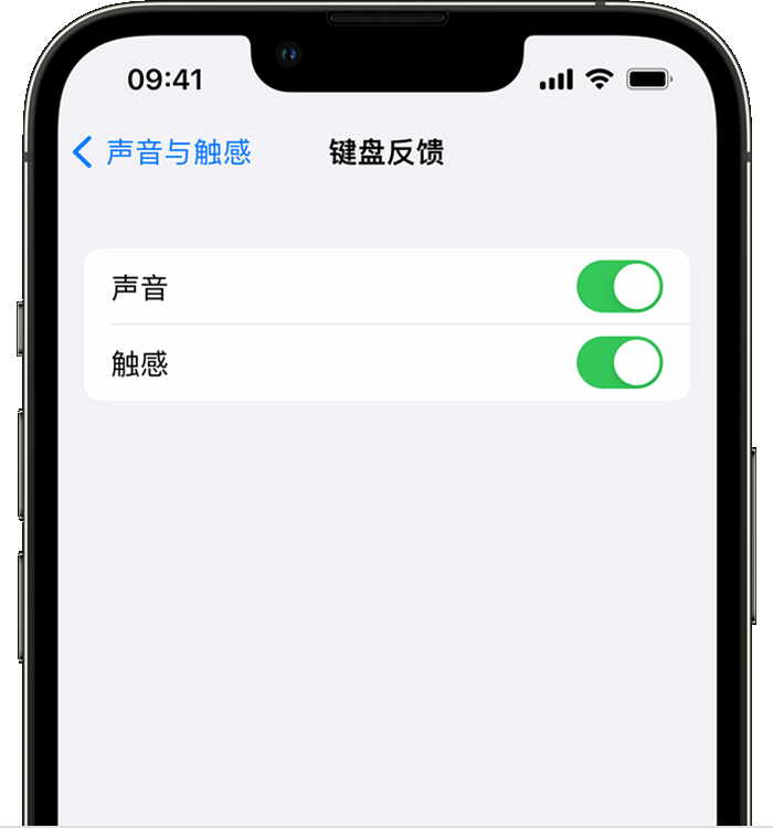 代县苹果14维修店分享如何在 iPhone 14 机型中使用触感键盘 