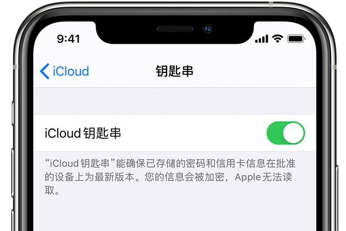 代县苹果手机维修分享在 iPhone 上开启 iCloud 钥匙串之后会储存哪些信息 