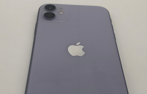 代县苹果11系统维修分享iPhone11手机系统崩溃无法开机如何解决